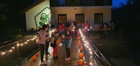 11 Večer v družbi buč